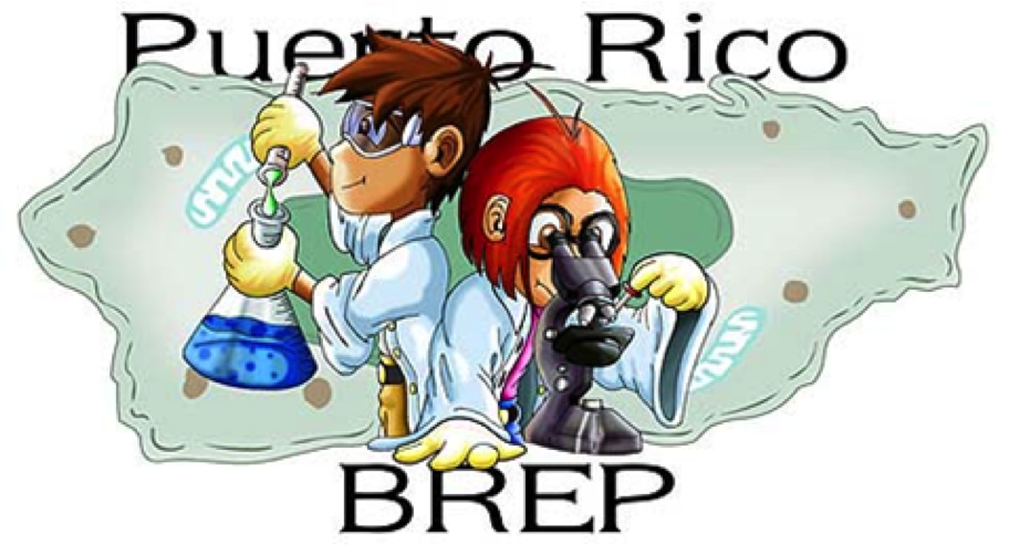 brep logo